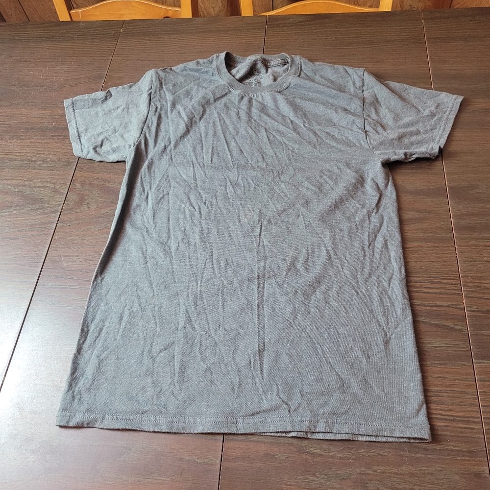 Fruit of the Loom gray tshirt